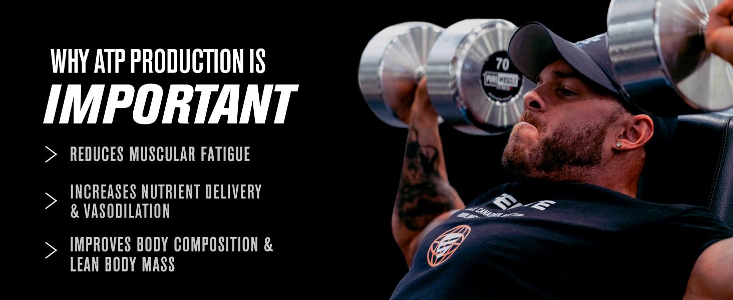 Build-XT Daily Muscle Builder & Performance Enhancer - Muscle Building Supplement for Muscular Strength & Growth| Trademarked Ingredients Peak02, ElevATP, & Astragin - 120 Veggie Pills