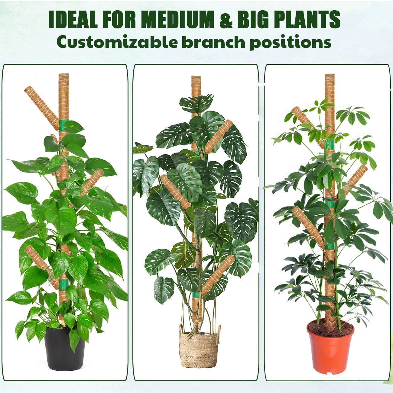 Moss Pole for Monstera  Support, 3 Pack 15.7'' Stackable Moss Poles for Climbing , Indoor Garden Coco Coir Poles for Monstera Deliciosa, Pothos, Philodendron (15.7In x 3Pack)
