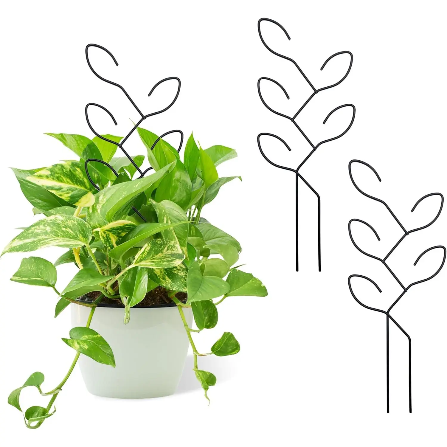 2 count Metal Leaf Shape Garden Trellis for Climbing  Indoor | Indoor Mini  Trellis Support,   Tool,  Lover  for Potted, Hoya, Pothos, Flower, Monstera(Black)