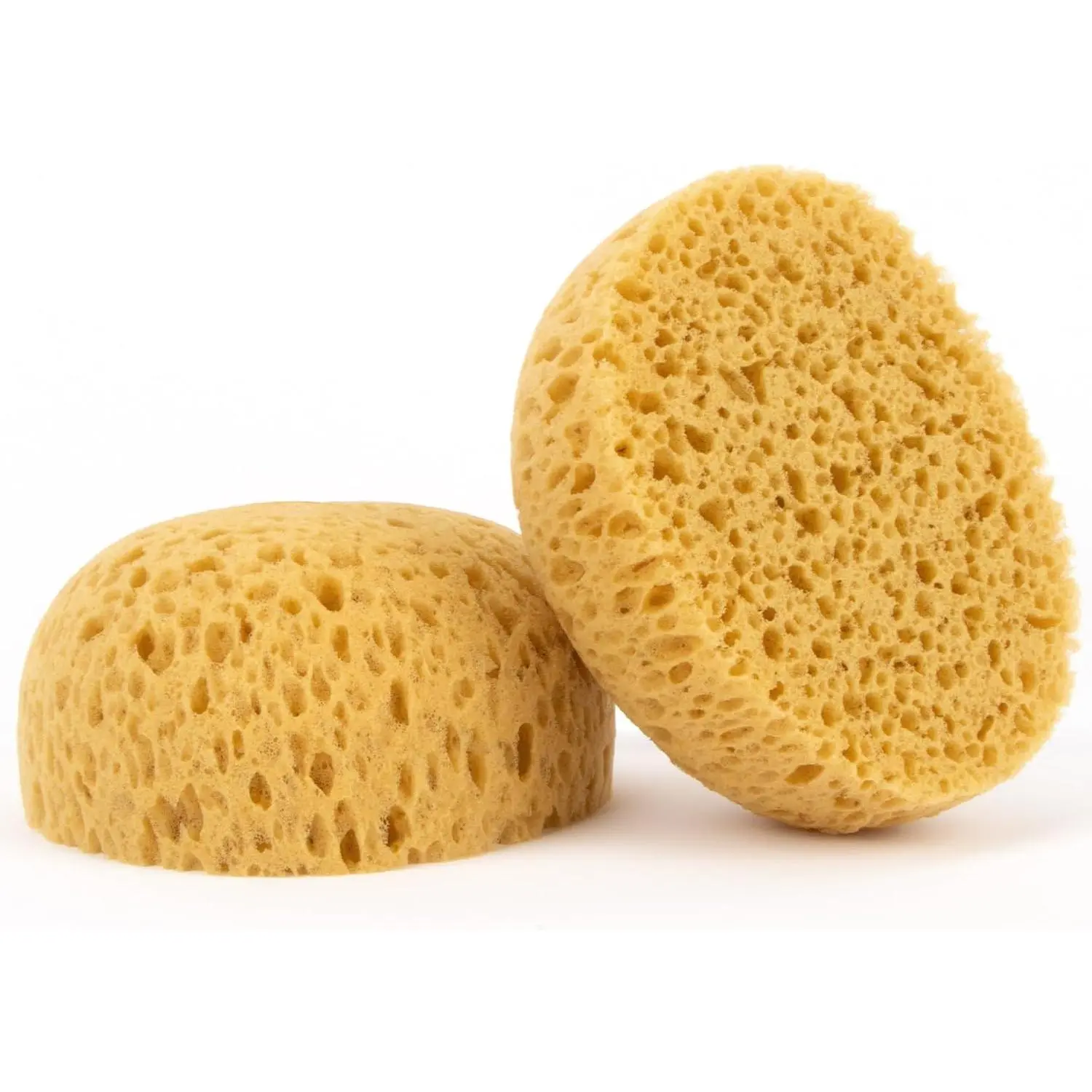 2 count Knockdown Texture Sponge - Drywall Repair Texture  Drywall Texture Patch Sponge for Painting Ceiling Wall Knock Down Texture Tool  Sponge
