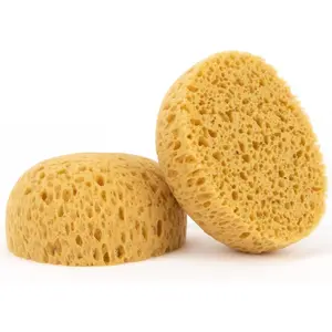 2 count Knockdown Texture Sponge - Drywall Repair Texture  Drywall Texture Patch Sponge for Painting Ceiling Wall Knock Down Texture Tool  Sponge