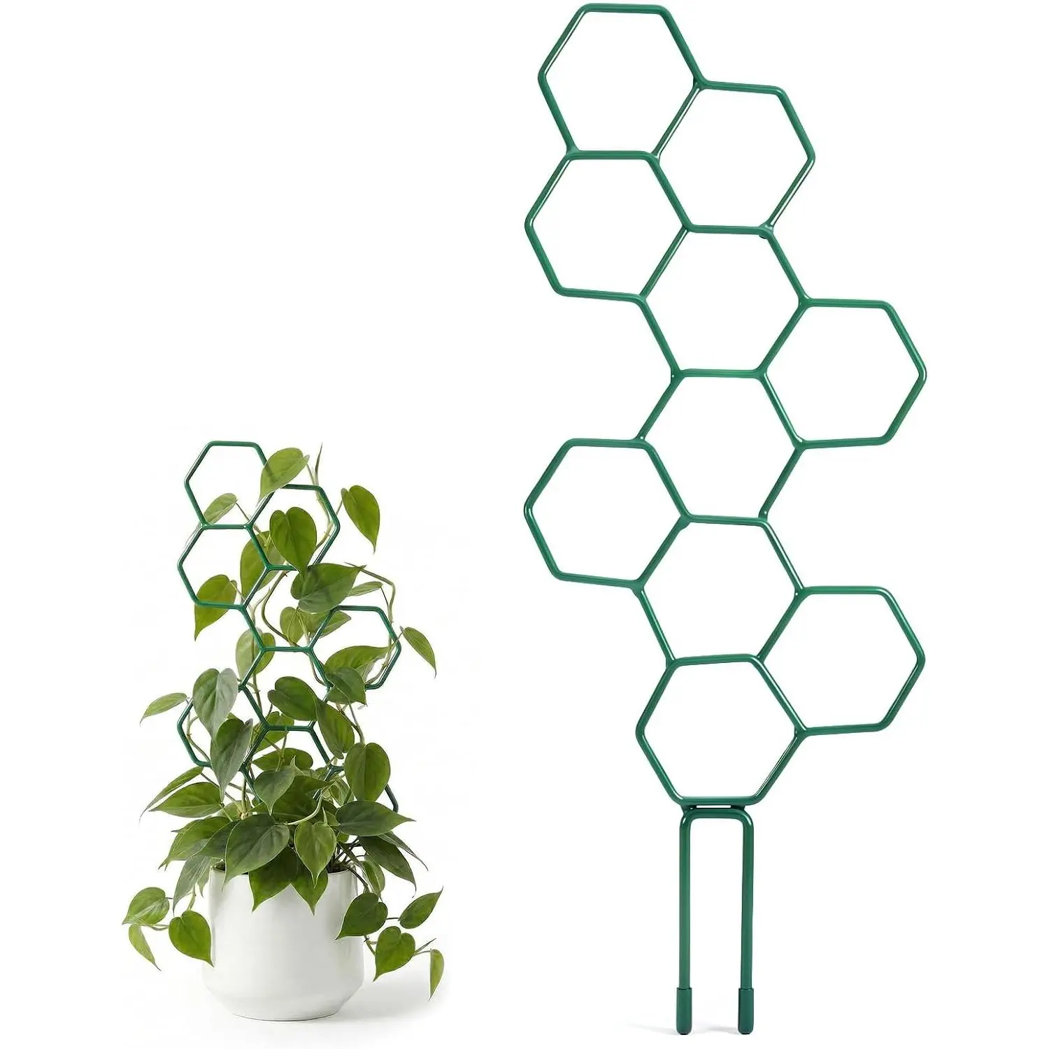 Small Trellis for Potted , 14 Inch Indoor Trellis for Climbing   Shape Metal  Trellis for Pots  Climbing Support for Flower Hoya Pothos Houseplants(Green)