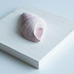 Tide and Tales 3D Beach Wall Art - Seashell with Starfish for Coastal Bathroom Decor, Ocean Inspired Decor for Bathroom, Coastal Bedroom, Living Room or Beach House, Set of 3 (6"x 6") Tide and Tales 3D Beach Wall Art - Seashell with Starfish for Coastal Bathroom Decor, Ocean Inspired Decor for Bathroom, Coastal Bedroom, Living Room or Beach House, Set of 3 (6"x 6")