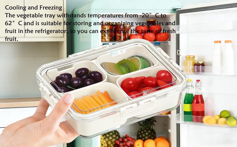 Small Snackle Box Container with Lid, 4 Compartment Travel Snack Container with Handle, Divided Serving Tray with Lid, Portable Snack Box for Candy, Fruits, Nuts, Snacks, Veggies