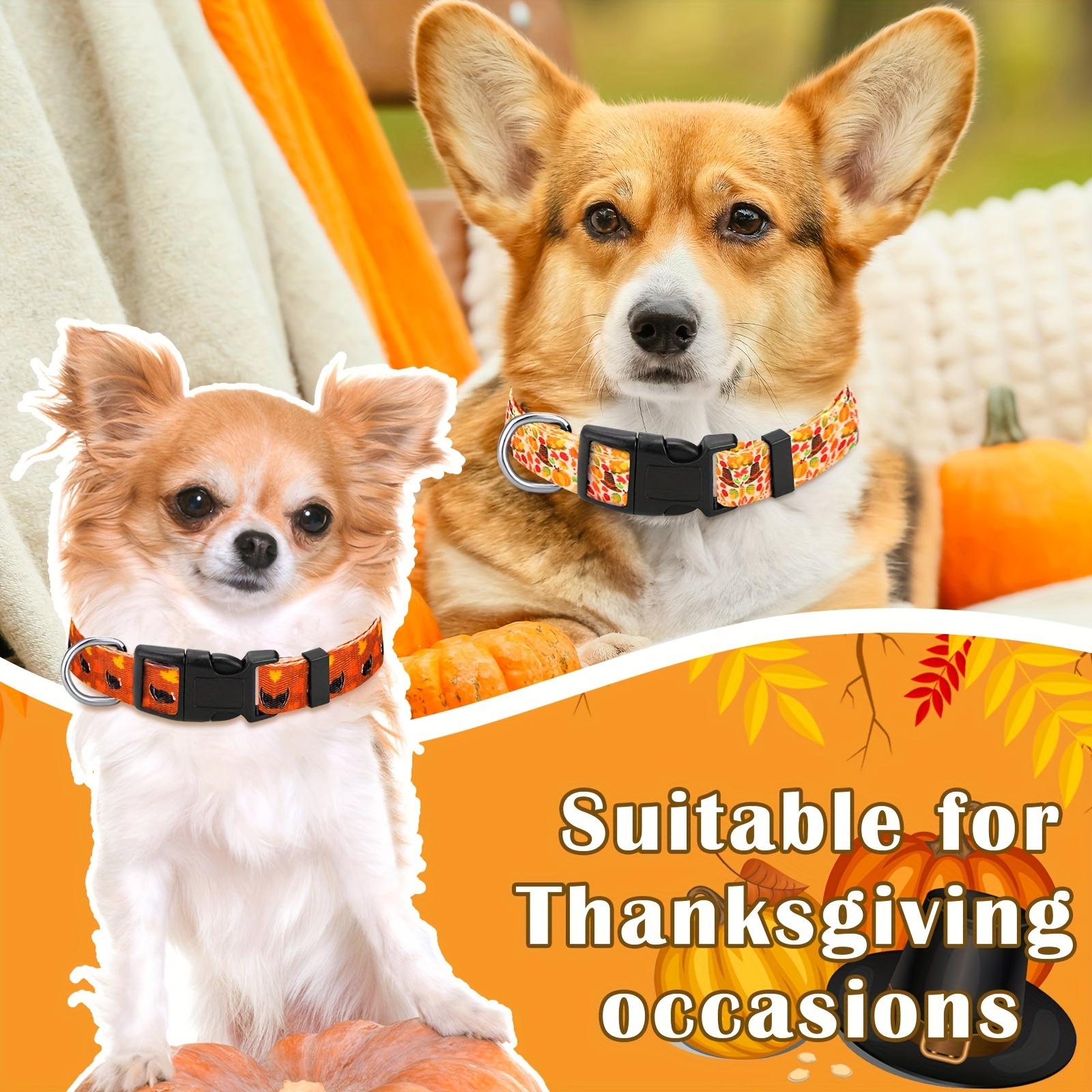 6 Pcs Thanksgiving Fall Dog Collar For Puppy Extra Small Medium Large Dogs Nylon Adjustable Lightweight Basic Cat Collars Pumpkin Maple Leaf Patterns Safety With Plastic Buckle (Small)