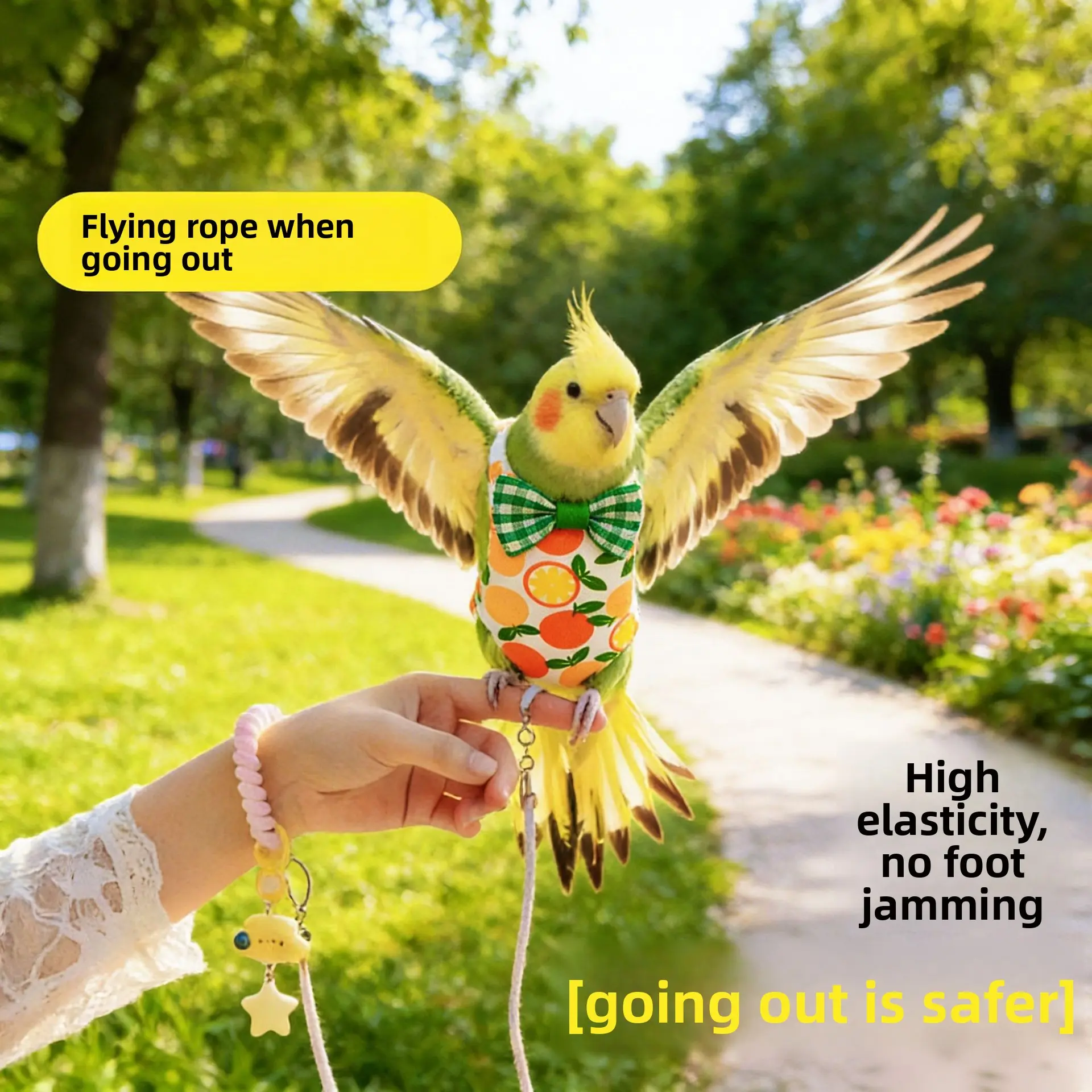 Flight Suit for Pet Parrots, Outing Harness Clothes for Peony Parakeets and Sun Conures, Pet Bird Costume, Small Pet Supplies