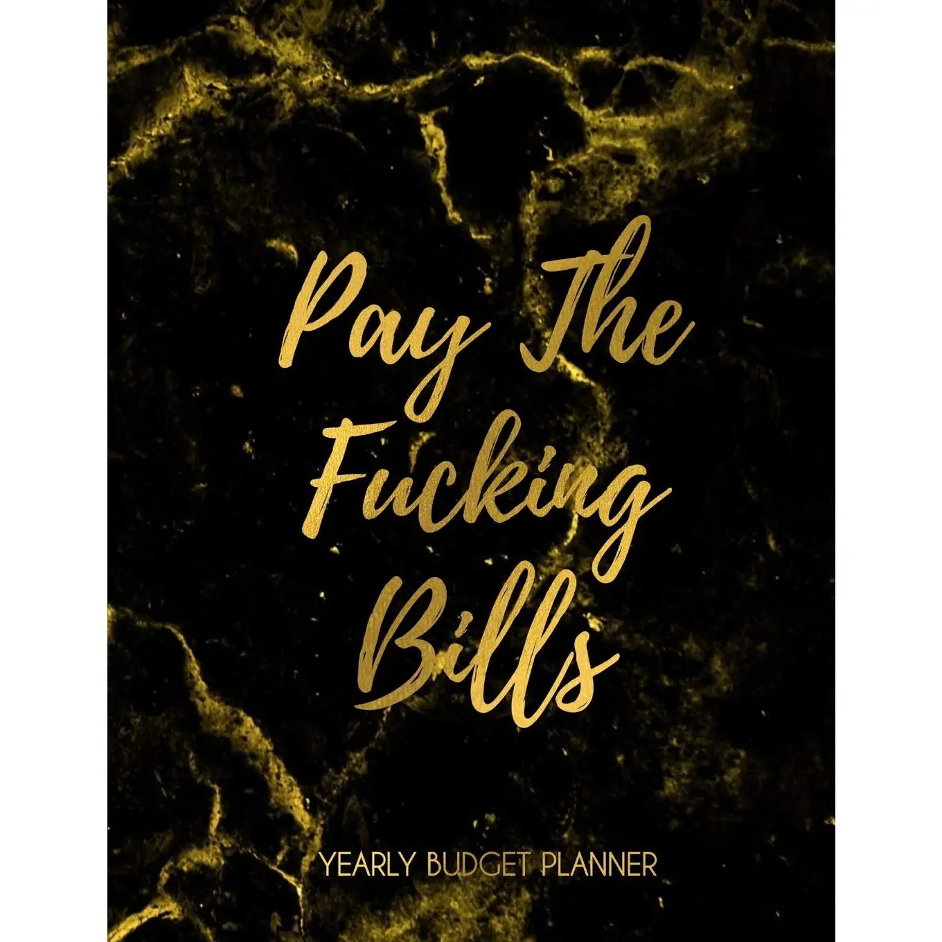 Pay The Fucking Bills | Yearly Budget Planner: Elegant Funny Marble Monthly Bill Organizer | To Help You Organize Expenses | Payments Checklist Weekly & Daily Budgeting Financial Planning Journal Notebook - Paperback