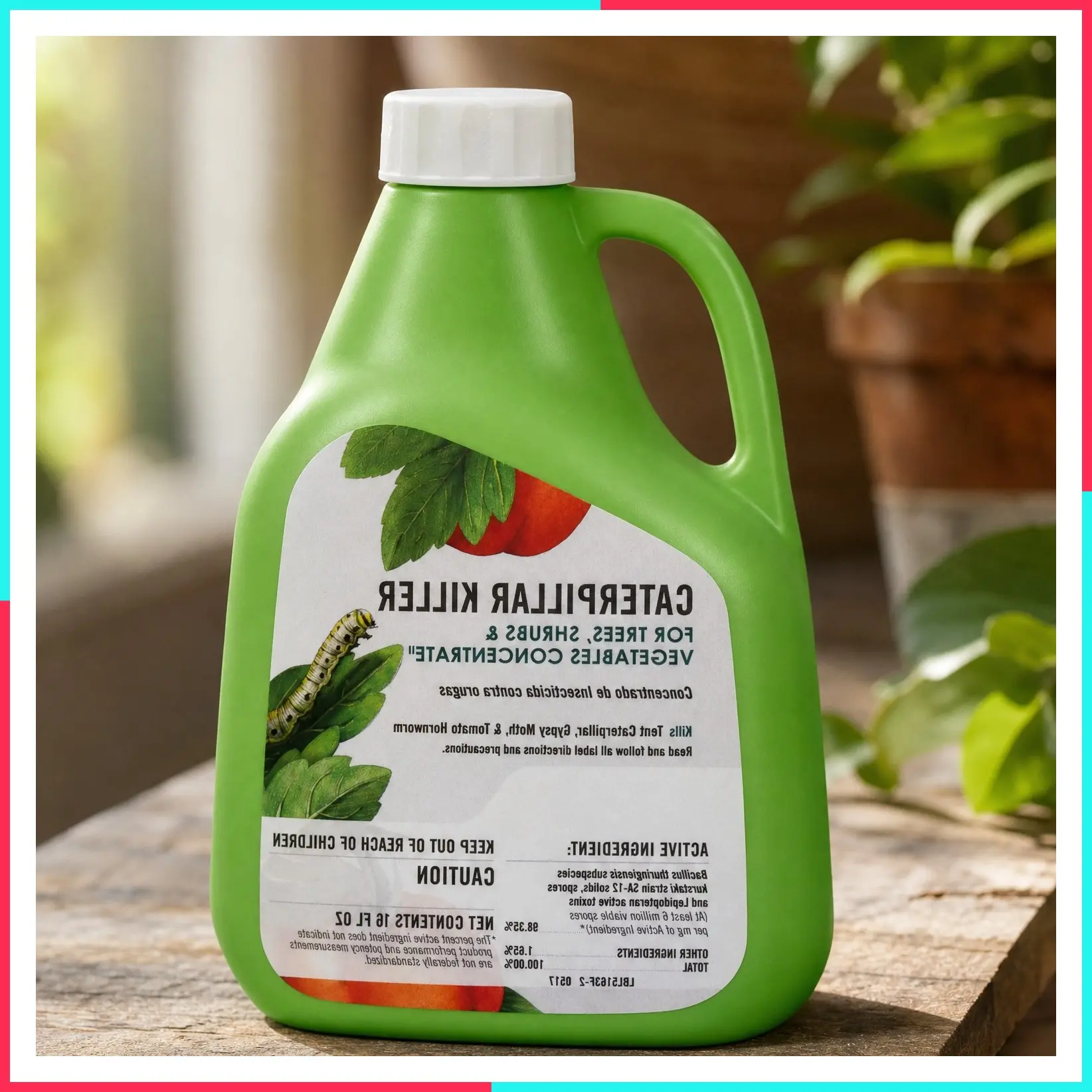 Caterpillar Killer II Concentrate Spray, 16 fl oz - Kills Caterpillars, Gypsy Moth Larvae, Worms & Cabbage Loopers, Organic Pest Control for Outdoor Plants & Gardens