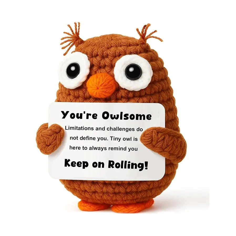 Handmade Crochet Positive Quote Owl Doll, Inspirational Encouragement Emotional Support Soft Huggable Plush Toy, Cute Desk Decor Gift for Friends #DeskDecor #PositiveQuoteDoll