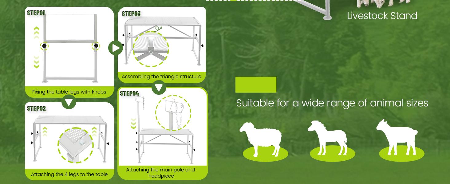 Livestock Stand 51x23, Adjustable Goat Milking & Sheep Trimming Stand, Steel Frame, 500lbs Capacity Animal