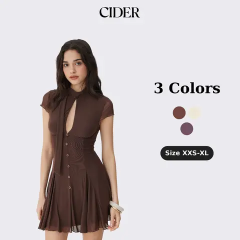 Cider Mesh High Neck Short Sleeve Draped A-line Mini Dress With Scarf