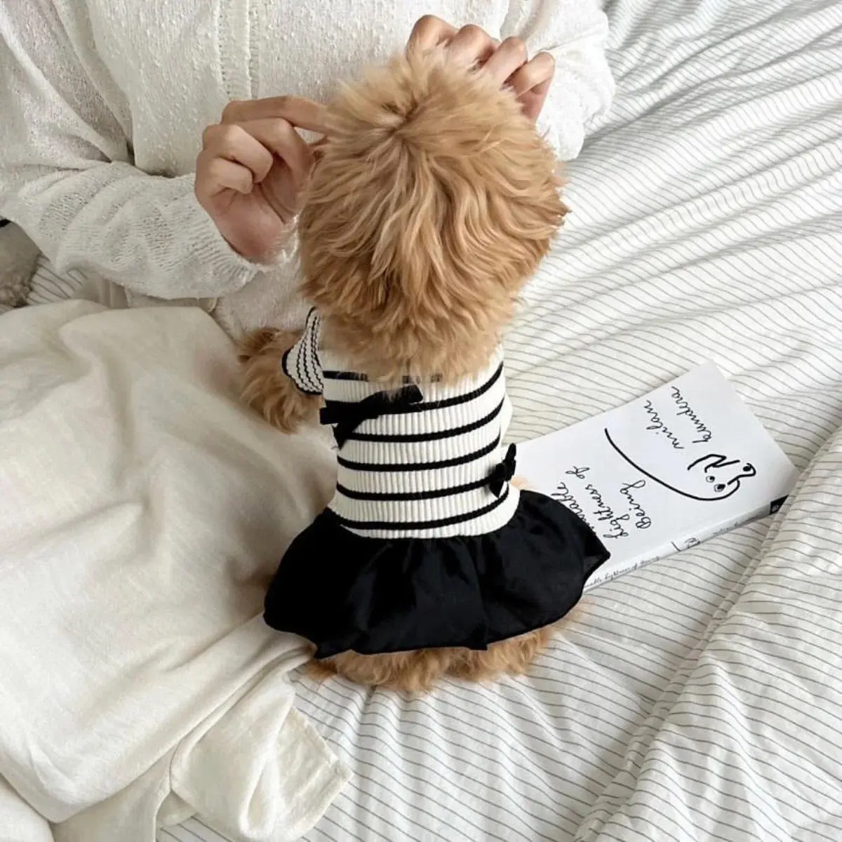 Striped Short-sleeved Dog and Cat Vests, Puppy Clothes, Summer New Style Cute Dresses, Teddy, Pomeranian, Yorkshire Terrier, Pug, Poodle Pet Clothes