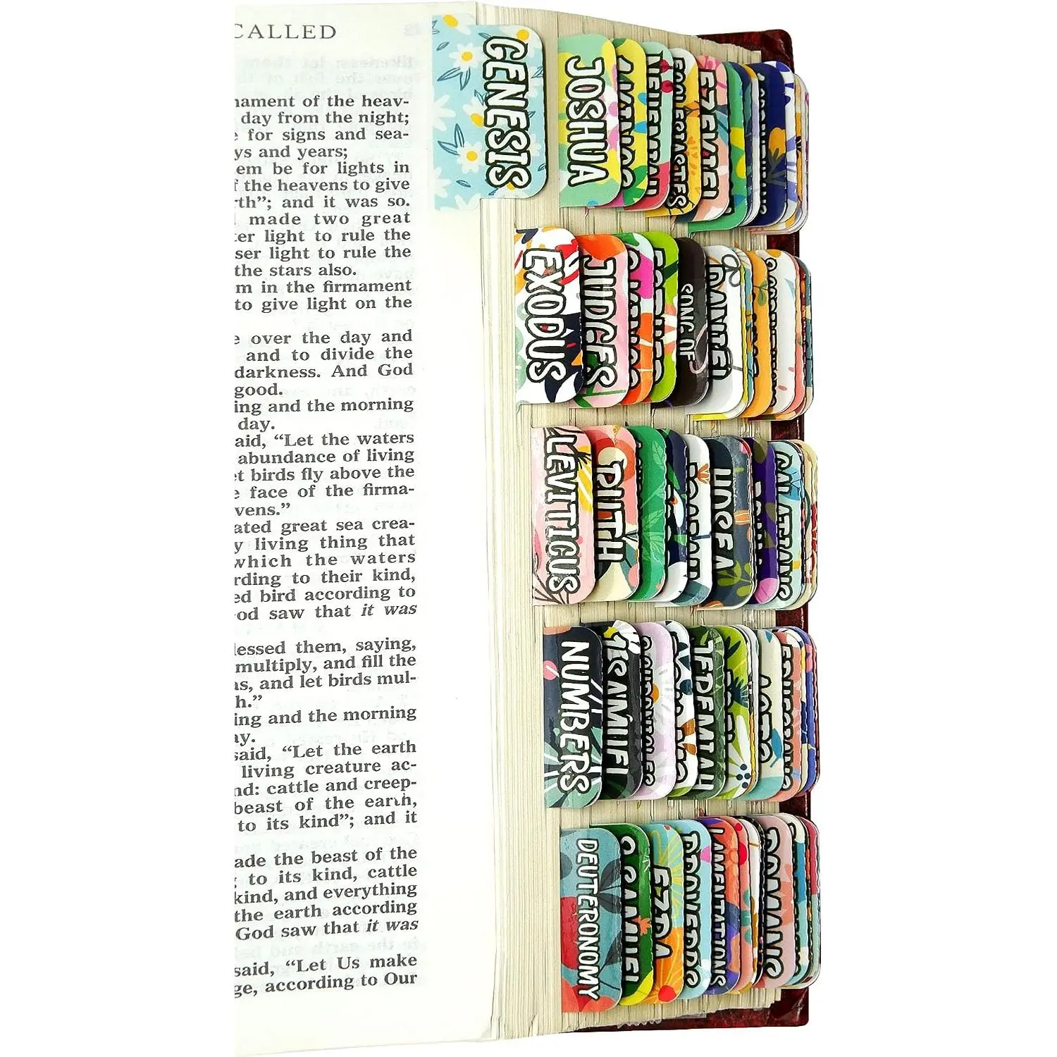 Tabs Large Print Laminated  Dividers Old and  Testament Floral