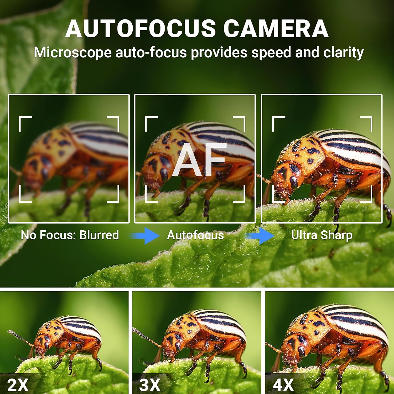 Digital Microscope, Autofocus Handheld Microscope, Magnifier with 2.8" IPS Screen and LEDs, Portable Magnifying Glass, Compatible with /Windows Digital Microscope, Autofocus Handheld Microscope, Magnifier with 2.8" IPS Screen and LEDs, Portable Magnifying Glass, Compatible with /Windows