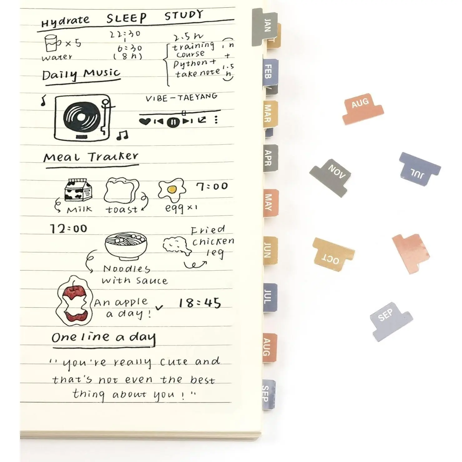 Laminated Monthly Planner Stickers, 48 Adhesive Plan Tabs for Notebooks (2 Sets 12 Month Tabs & 24 Blank Tabs), Calendar Monthly Divider Set, Small Morandi