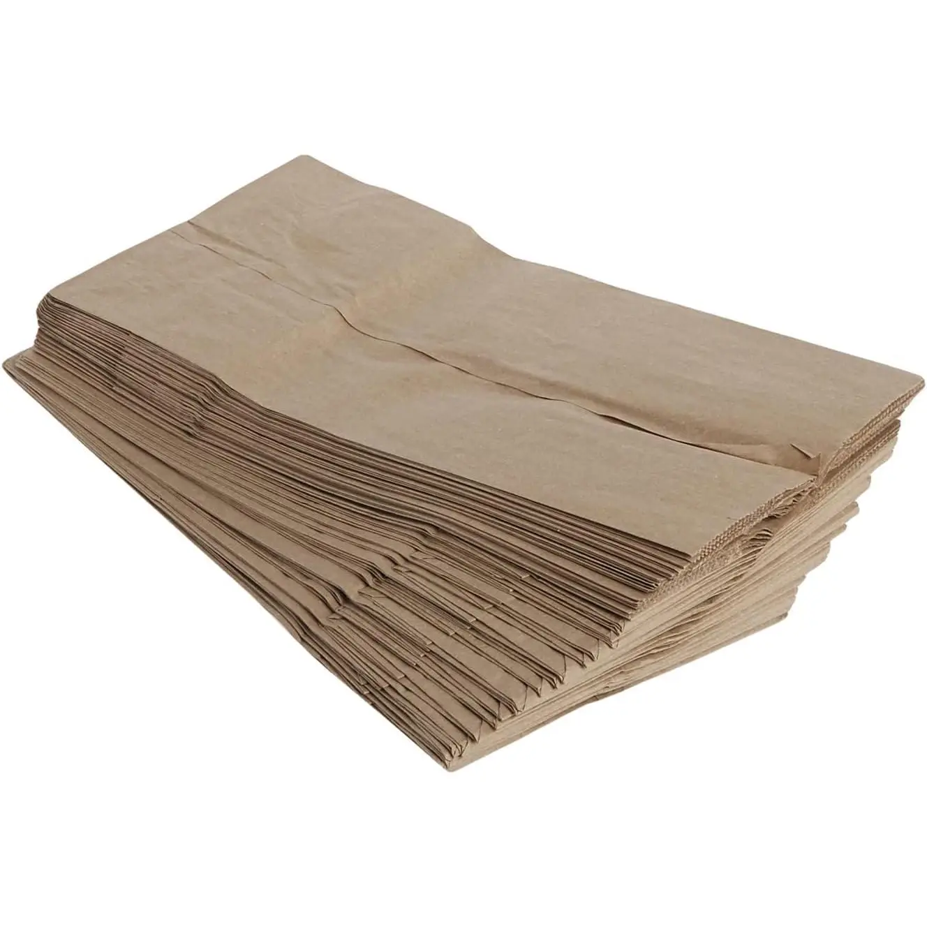 Brown Paper Lunch Bags 40 Count
