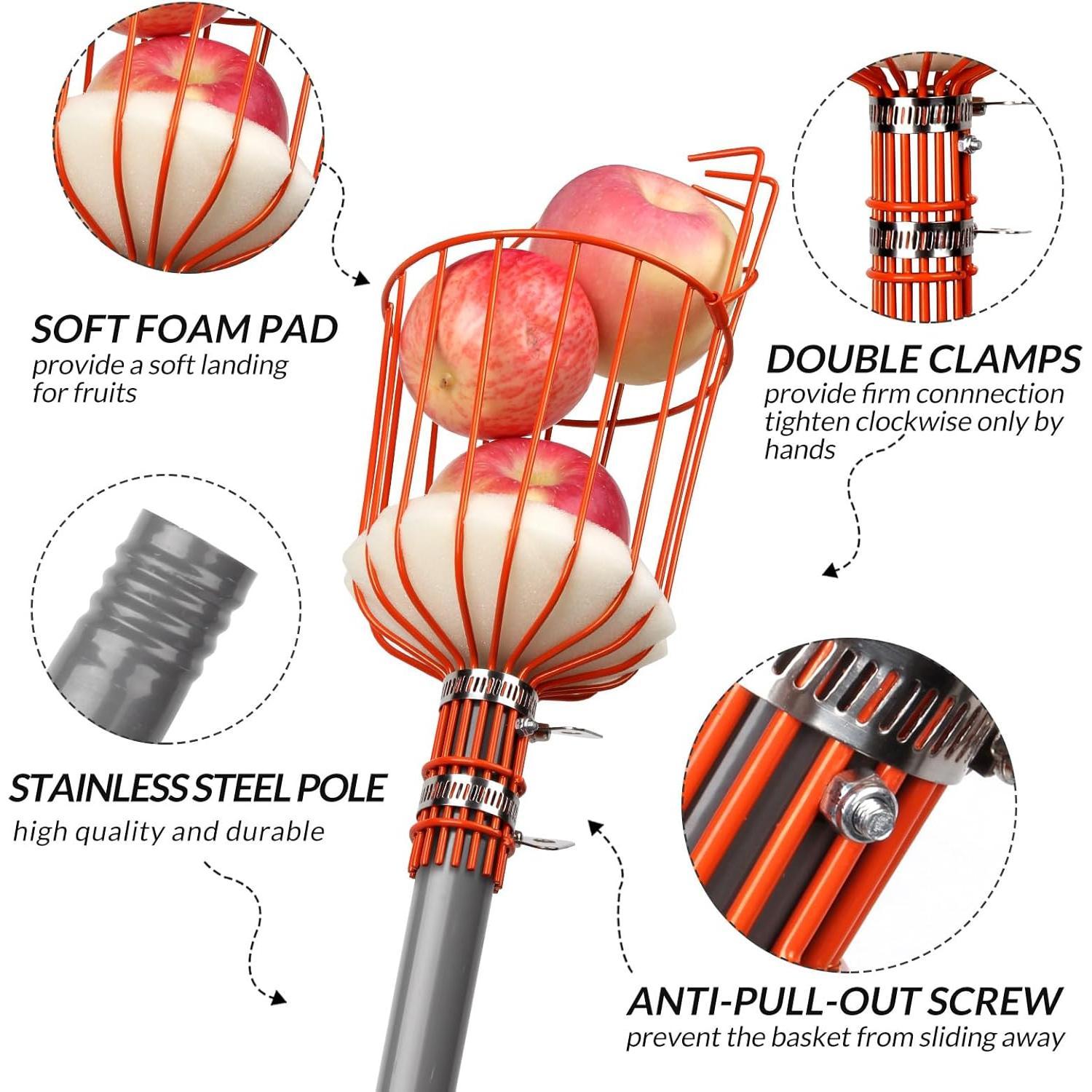 13FT Fruit Picker, Adjustable Fruits Picker Tool with Lightweight Stainless Steel Pole and Big Basket, Fruit Catcher Equipment Tree Picker for Apples Mango Pear Orange Avocados Fruit Picking 13FT Fruit Picker, Adjustable Fruits Picker Tool with Lightweight Stainless Steel Pole and Big Basket, Fruit Catcher Equipment Tree Picker for Apples Mango Pear Orange Avocados Fruit Picking