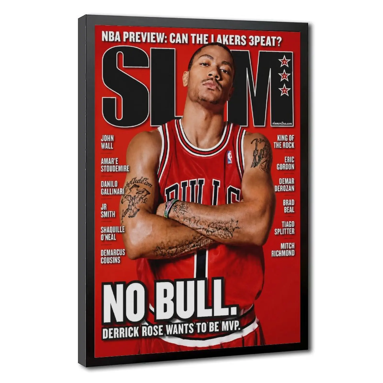 2021-22 Panini NBA Hoops Derrick Rose Chicago Bulls Cover Artistic Wall Poster, Decor Frame for Room Decor