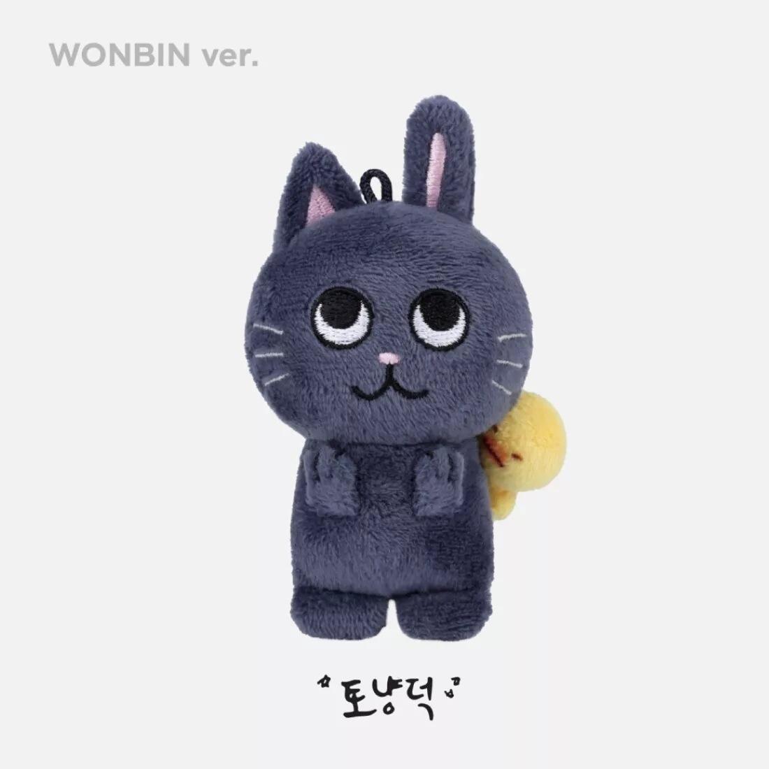 Kpop Idol RIIZE 2024 Valentine's Dayze 10cm Doll Keyring SHOTARO WONBIN EUNSEOK SUNGCHAN SOHEE ANTON Stuffed Dolls Key Chains