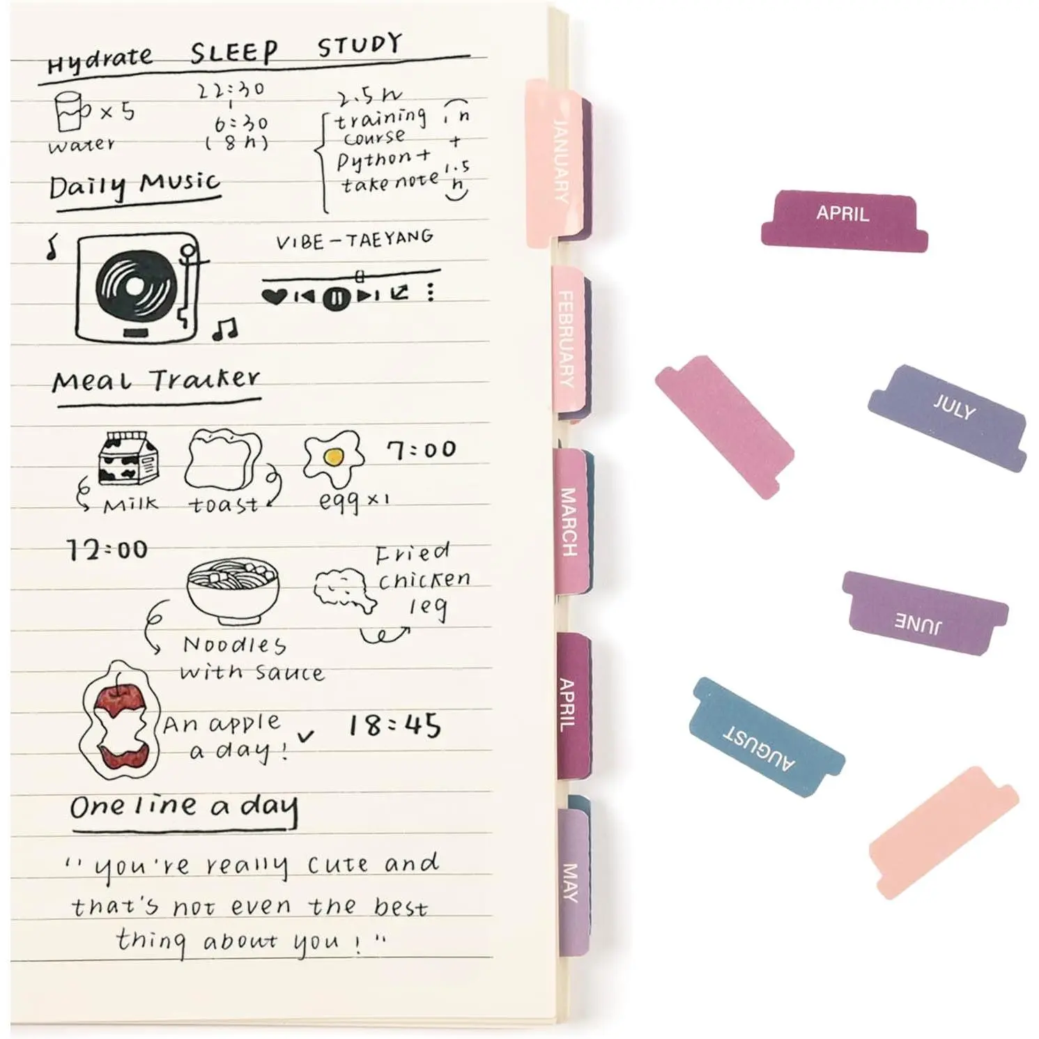 Laminated Planner Monthly Stickers,40 Adhesive Plan Tabs Accessories for Notebooks (2 Sets 12 Month Tabs and 16 Blank Tabs), Calendar Monthly Divider Set ( & )