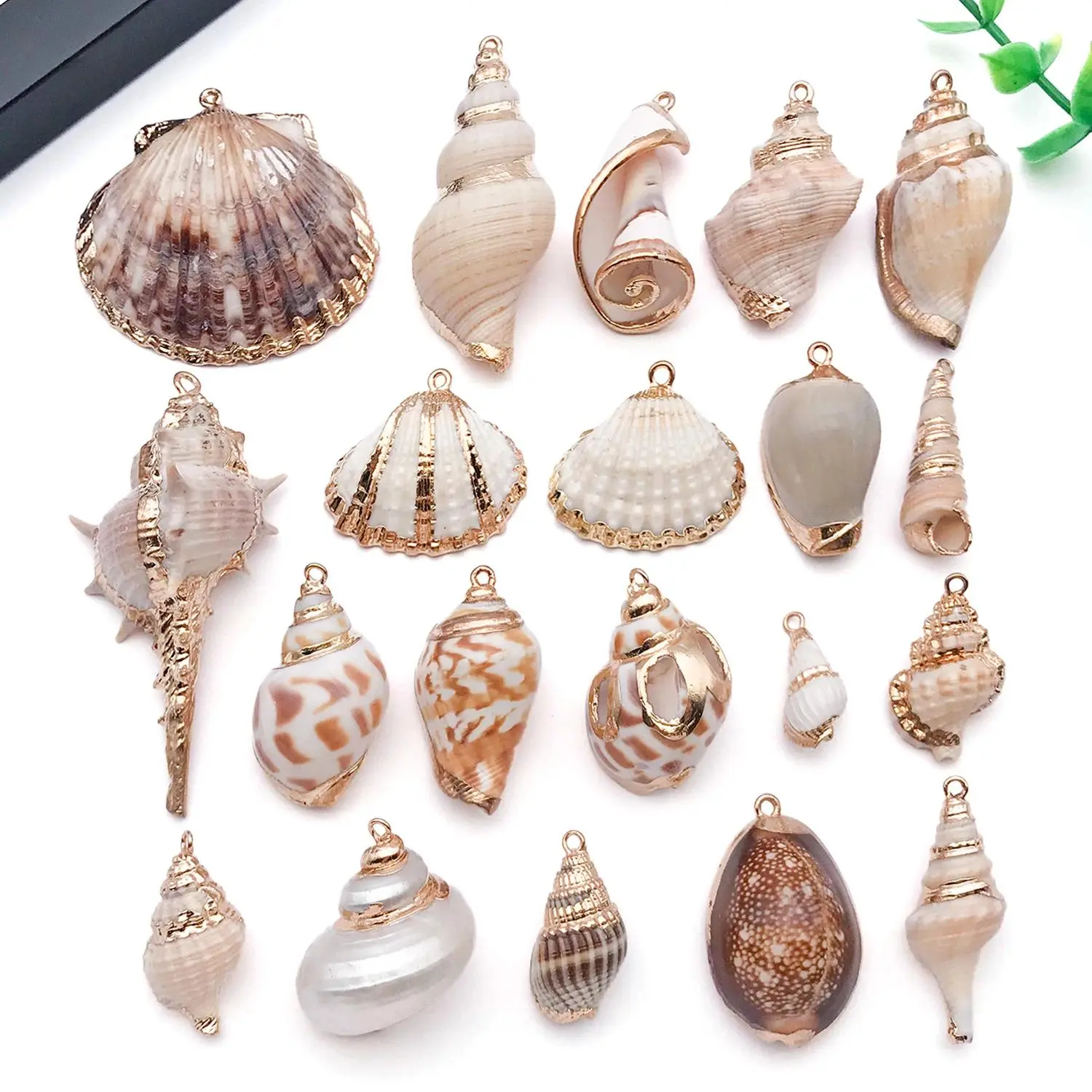 5pcs Natural Seashell Charms Beach Conch Pendants for DIY Bracelets Necklaces Earrings Jewelry Making Accessories