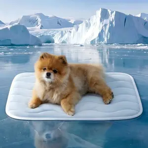 Dog Cooling Pad, Washable Pet Bed, Non-Gel, No Electricity, Anti-Slip Summer Cage Mat, Suitable for All Dog Breeds, Thickened Lightweight Design