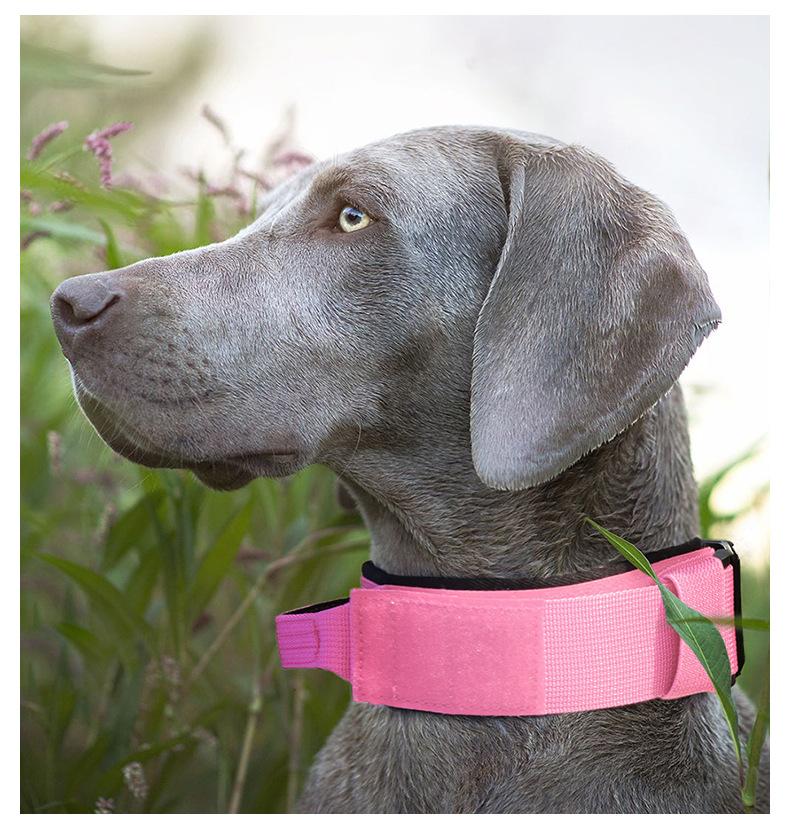 Premium Heavy-Duty Nylon Dog Collar - Extra Wide, Padded, with Stainless Steel Buckle Adjustable Pet Collar, Durable Dog Collar for Medium Large Dogs Cats for Outings, Dog Supplies, Pets Supplies, Christmas Gift