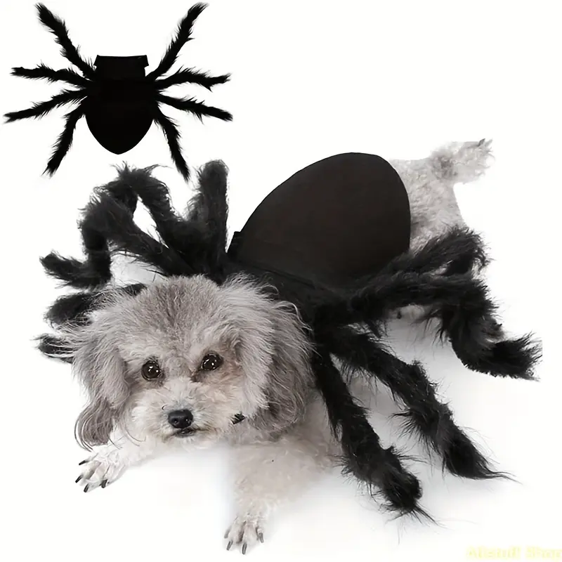 Pet Spider 1-Piece Costume - Halloween Party Wear for Small/Medium Cats & Dogs, Fun Look Dress-Up Outfit