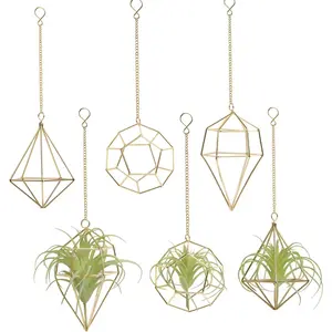 Air  Holders Small Tillandsia Airplants Hangers 6 Pack Geometric Wire Himmeli Air Fern Display Planter with Chains Airferns Metal  Holders