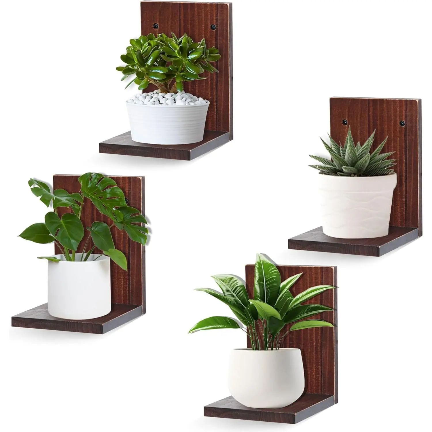 Small Wall Shelf Modern,Wooden Mini Floating Shelves,Indoor Wall Mounted Plants Shelf L Shaped,Midcentury Display Decorative Holder for Gallery Living Room Bedroom Porch,Pine,4 Pack(Rustic Walnut)