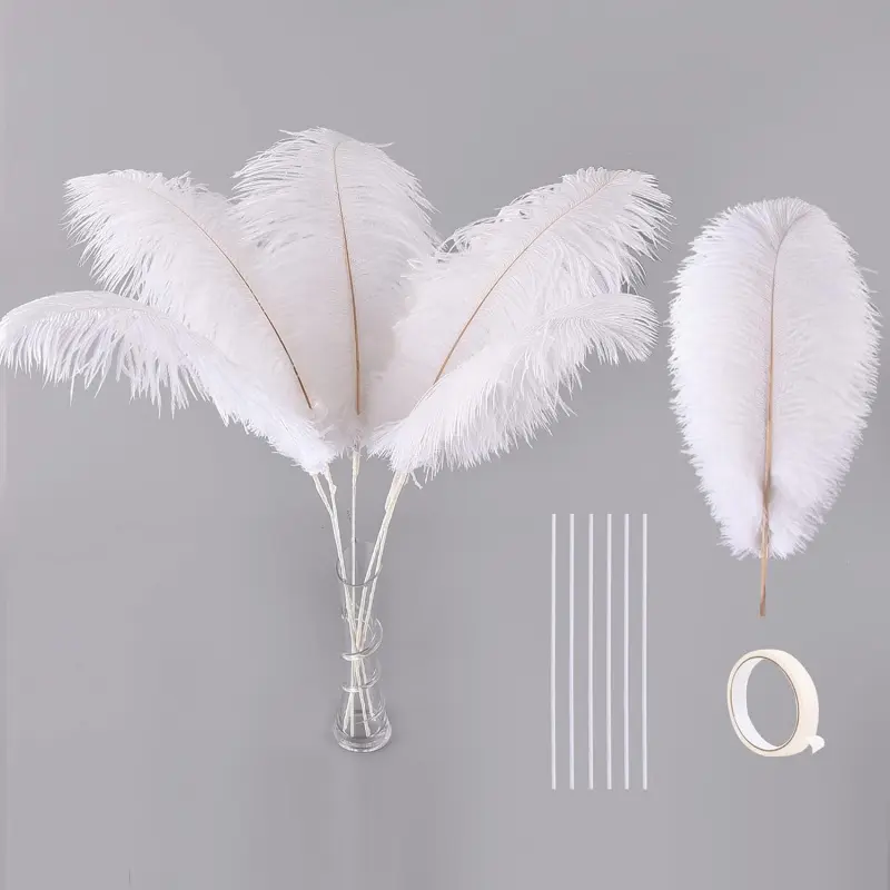 White Large Ostrich Feathers - 12pcs 16-18inch Feathers Making Kit Ostrich Feathers Bulk for Vase,Wedding Centerpieces,Gatsby Party and Home Decor