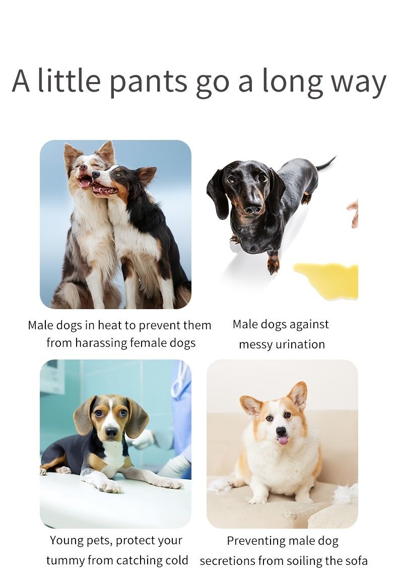 2pcs Elastic Male Dog Belly Bands - Reusable Cloth Underwear - Cute Cartoon Washable Dog Diapers for Potty Training & Anti-Lifting