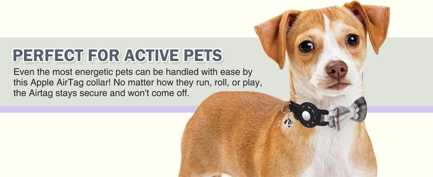 Airtag Cat Collar with Bells and Bowtie -Safety Elastic Band Kitten Collar for Apple Air Tag Holder- Cute GPS Cat Tracker Collars for Girl Boy Cats and Puppies, Adjustable 8"-12" Pink Airtag Cat Collar with Bells and Bowtie -Safety Elastic Band Kitten Collar for Apple Air Tag Holder- Cute GPS Cat Tracker Collars for Girl Boy Cats and Puppies, Adjustable 8"-12" Pink