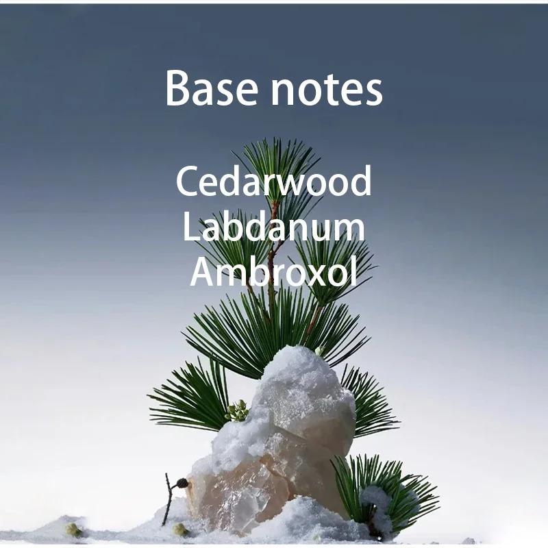 Long Lasting Fragrance for Women Men 100ml Eau De Parfum Classic Fresh Scent Daily Use Perfume High Quality Fast Shipping