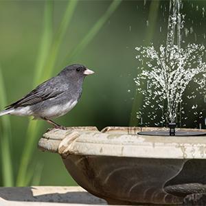 Solar Fountain Pump for Bird Bath Water Fountain Solar Powered Fountain Pump, Solar Panel Kit Water Pump,Outdoor Watering Submersible Pump for Pond, Pool, Garden, Fish Tank ,Free Standing Floating Solar Powered Solar Fountain Pump for Bird Bath Water Fountain Solar Powered Fountain Pump, Solar Panel Kit Water Pump,Outdoor Watering Submersible Pump for Pond, Pool, Garden, Fish Tank ,Free Standing Floating Solar Powered