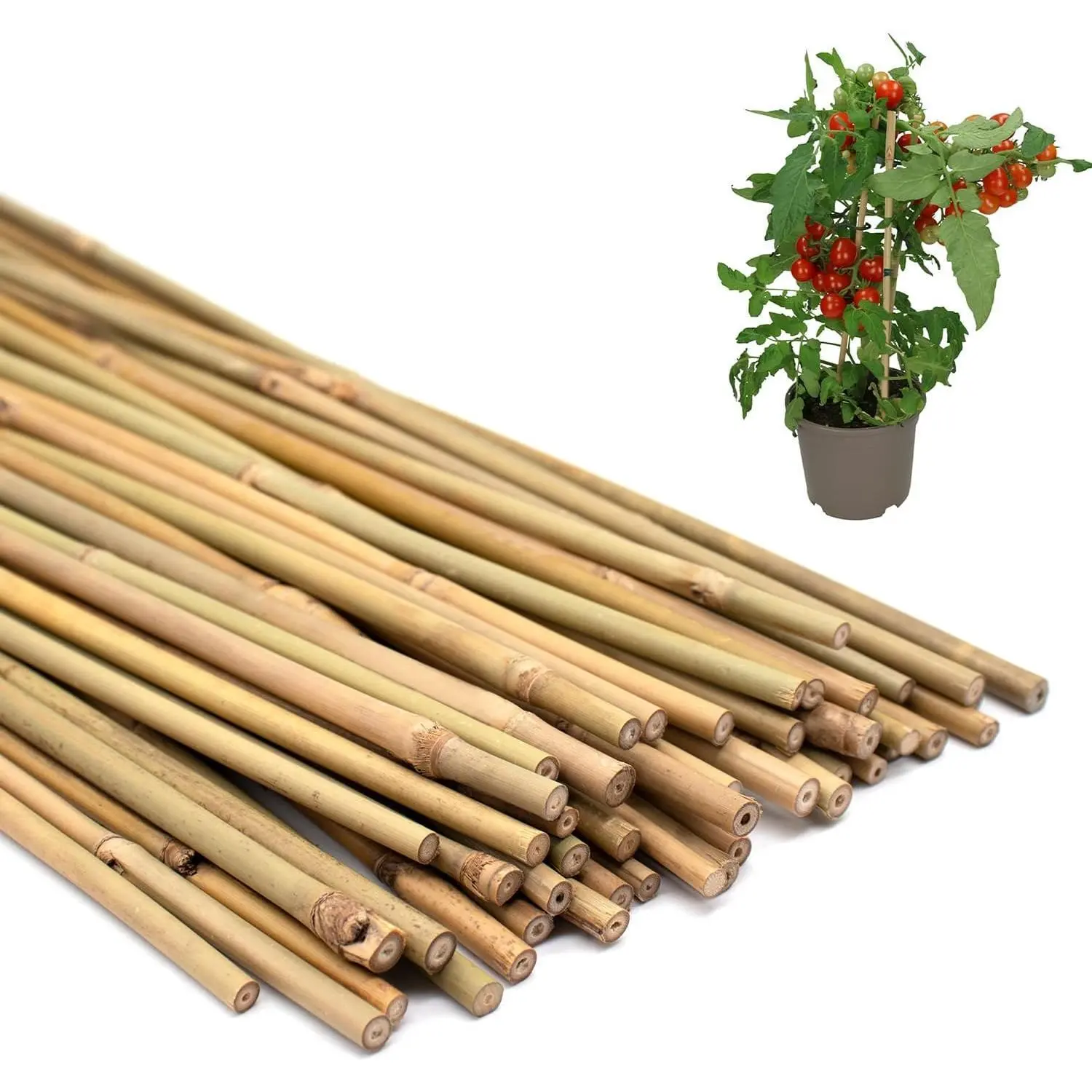 50PCS Plant Stakes,Natural Bamboo Stakes,Garden Stakes for Indoor and Outdoor Plants,POLIUMB Poles Sticks for Tomatoes,Beans,Flowers,Trees Potted and Climbing Plants-18 inches