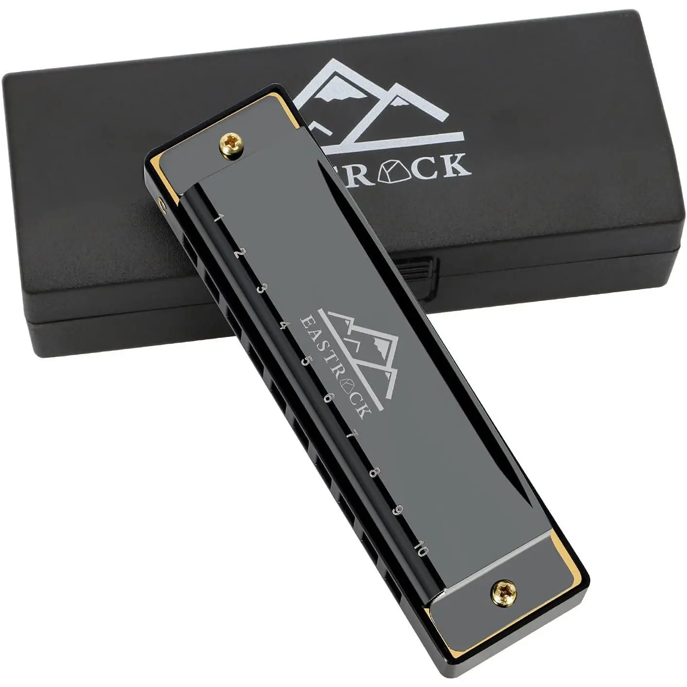 Blues Harmonica Mouth Organ 10 Hole Key with Case, Diatonic Harmonica for Professional Player, Beginner, Students gifts, Adult, Friends, Gift Black