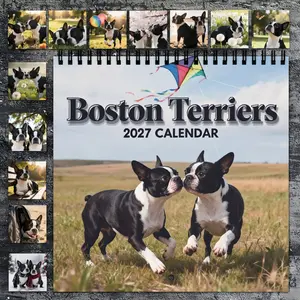 2027 Boston Teddy Fun Aesthetic Design Foldable Wall Calendar Planner, 12-month large grid layout, monthly photos and closures, suitable for home, office, and everyday planning, ideal Christmas and New Year gift