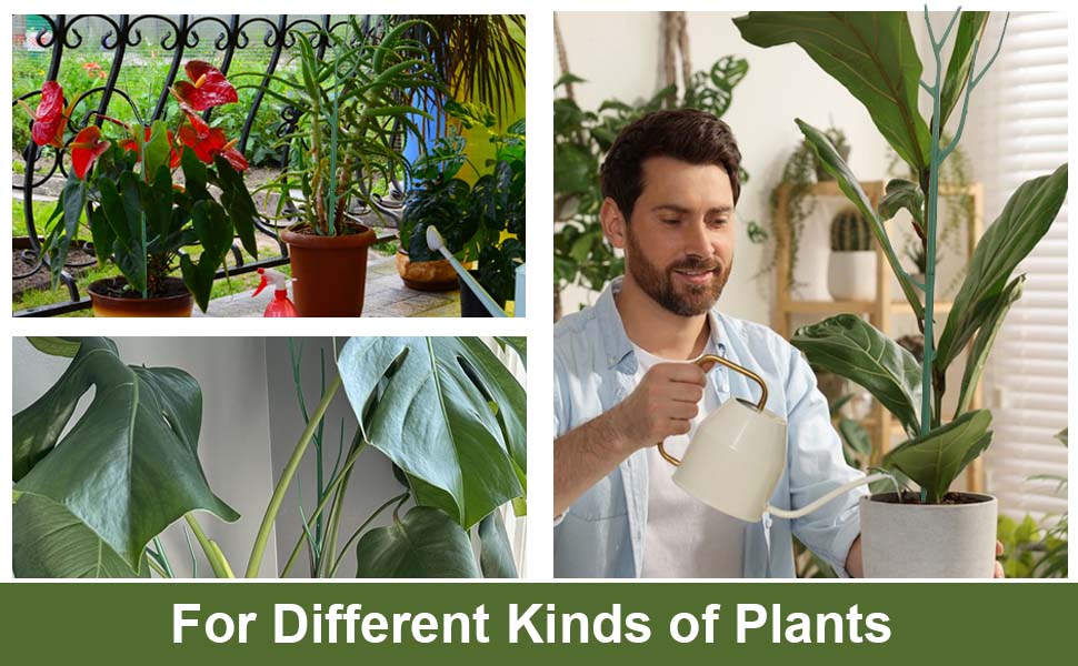 5 Pack Stackable Plant Stakes, Climbing Plant Structures for Monstera, Pothos, Philodendron Plant Stakes for Indoor Plants 5 Pack Stackable Plant Stakes, Climbing Plant Structures for Monstera, Pothos, Philodendron Plant Stakes for Indoor Plants