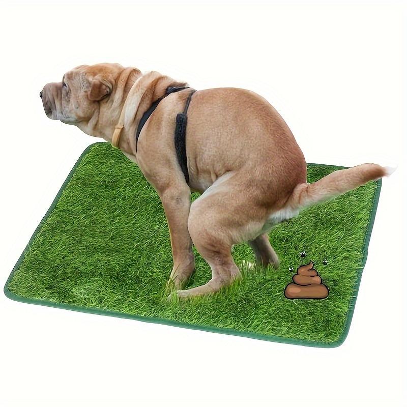 Odor-Control Dog Grass Mat, Reusable Washable Artificial Lawn with Non-Slip Backing, Supports Indoor/Outdoor Potty Training for Puppies & Small to Medium Dogs