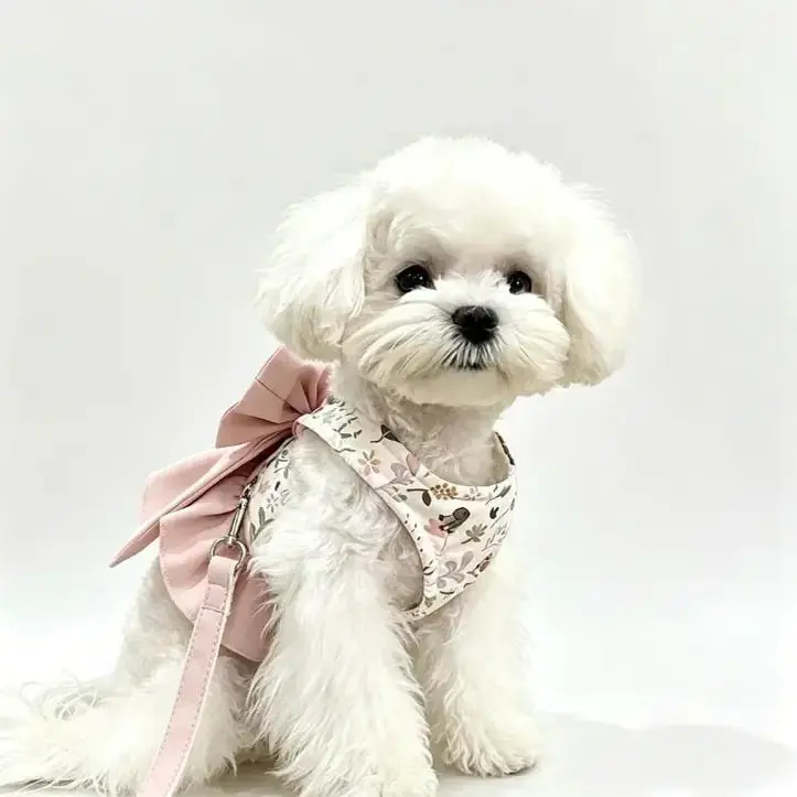 Floral Princess-Style Puppy Harness and Leash Set for Pomeranian, Yorkie, Maltese - Cute Soft Vest Dress, Big Bow, Adjustable Straps, Leash Included, Built-in D-Ring, Easy-to-Wear for Daily Walks