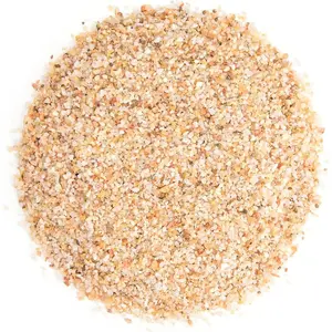 1-3mm Fine Silica Sand, 2.4lb Horticultural Potting Sand Soil for Plants, Aquariums, Fire Pits, Terrariums, Bonsai Succulent Cactus & Garden Sand Grit for Gardening Landscape Rocks