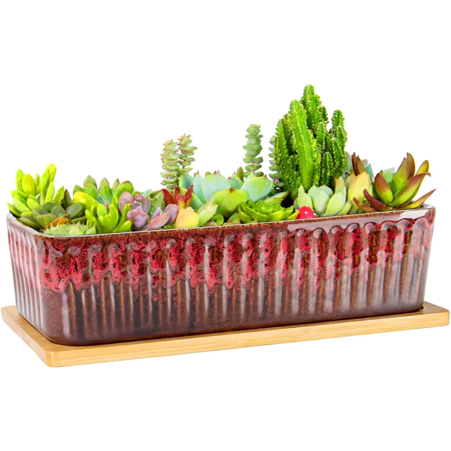 Succulent Pots - 12 Inch Large Succulent Planters with Drainage Tray, Window Sill Planter, Long Rectangle Ceramic Pots for Indoor Cactus  Shallow Bonsai Window Box for  Garden Decor