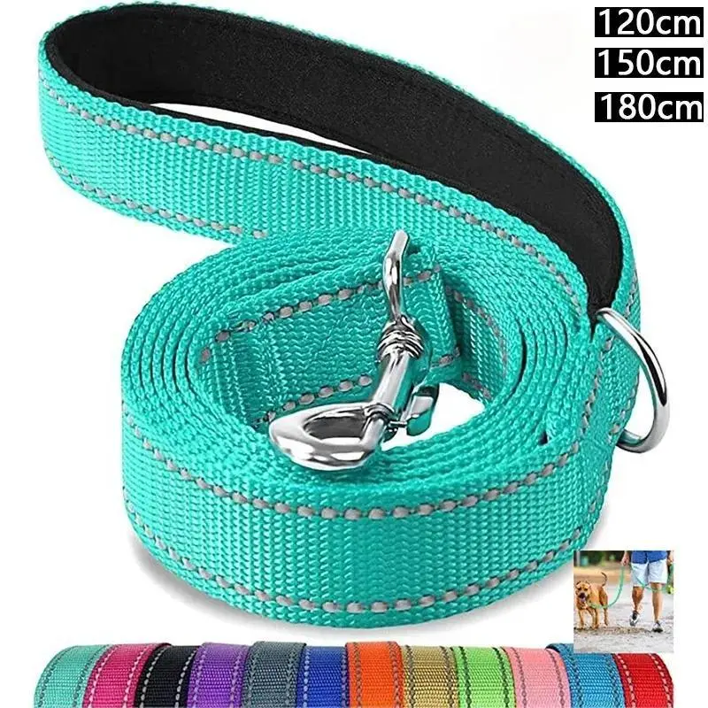 1.8m Collared Harness for Dogs & Cats, Night Reflective Lead Strap with Guard Rope, All Stages Compatibility Pet Walking Training Leash