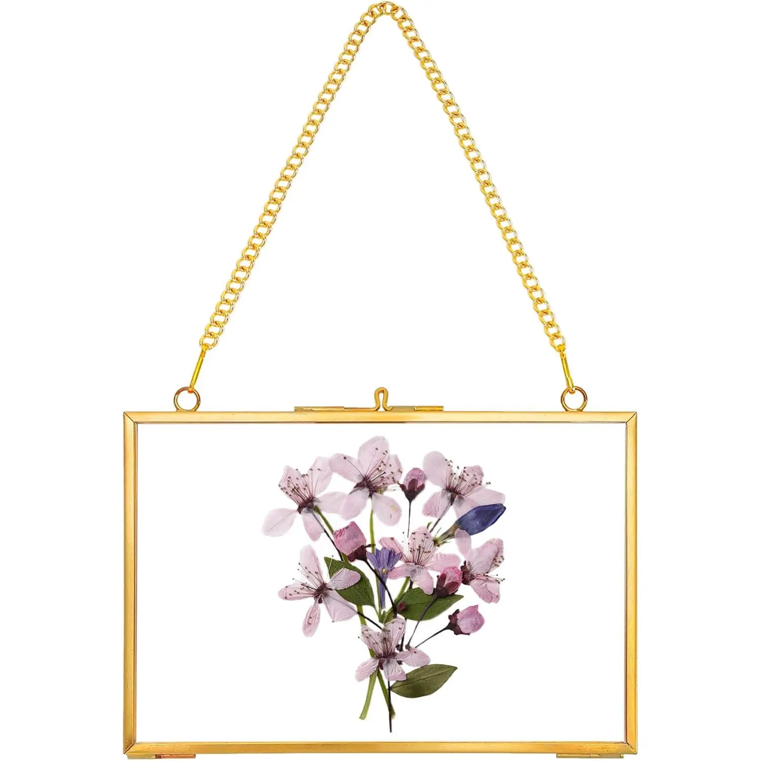 Pressed Flower Frame , , 4×6 inches | Double Glass Picture Frame Floater frame Floating Frame for Pressed   Wall Artwork, Rectangle Horizontal