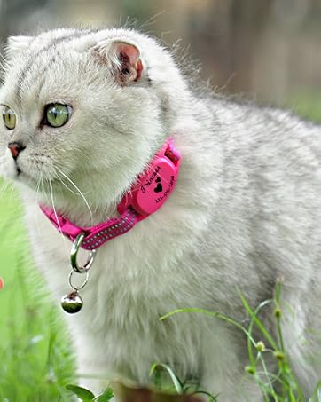 Pawblefy - Personalized Airtag Cat Collar - Cat Collar with Airtag Holder - GPS Collar for Cats - Customizable cat GPS tracker collar (Standard)
