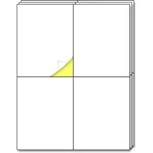 30 Sheets - Large Shipping Address Labels, Mailing Label Stickers for Packages, Storage Bins - 4 per Sheet, 120 count