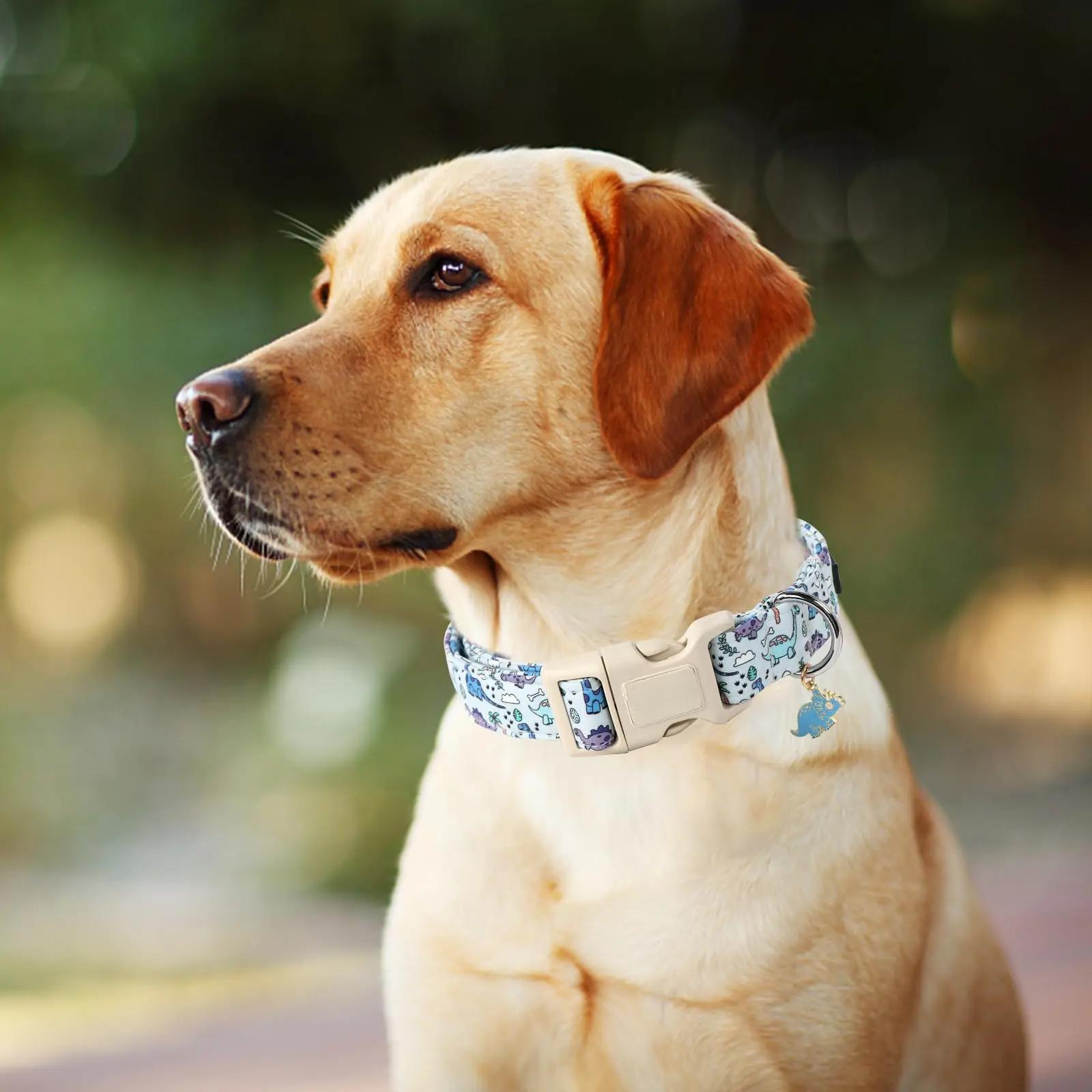 Spring Dinosaur Print Adjustable Dog Collar - Cute Collar with Pendant for Small to Large Dogs  Plastic Buckle Leashes