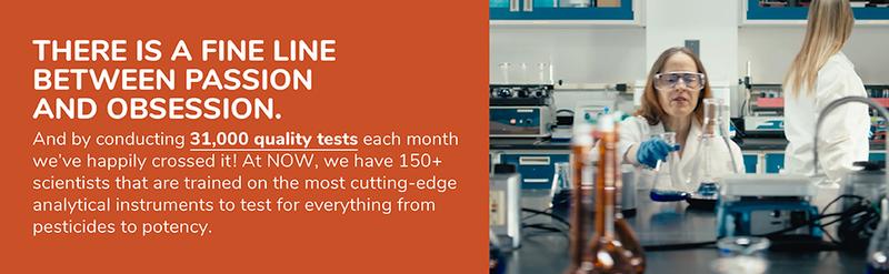 NOW Foods Supplements, Silymarin Milk Thistle Extract 150 mg with Turmeric, Supports Liver Function, 60 Veg Capsules NOW Foods Supplements, Silymarin Milk Thistle Extract 150 mg with Turmeric, Supports Liver Function, 60 Veg Capsules