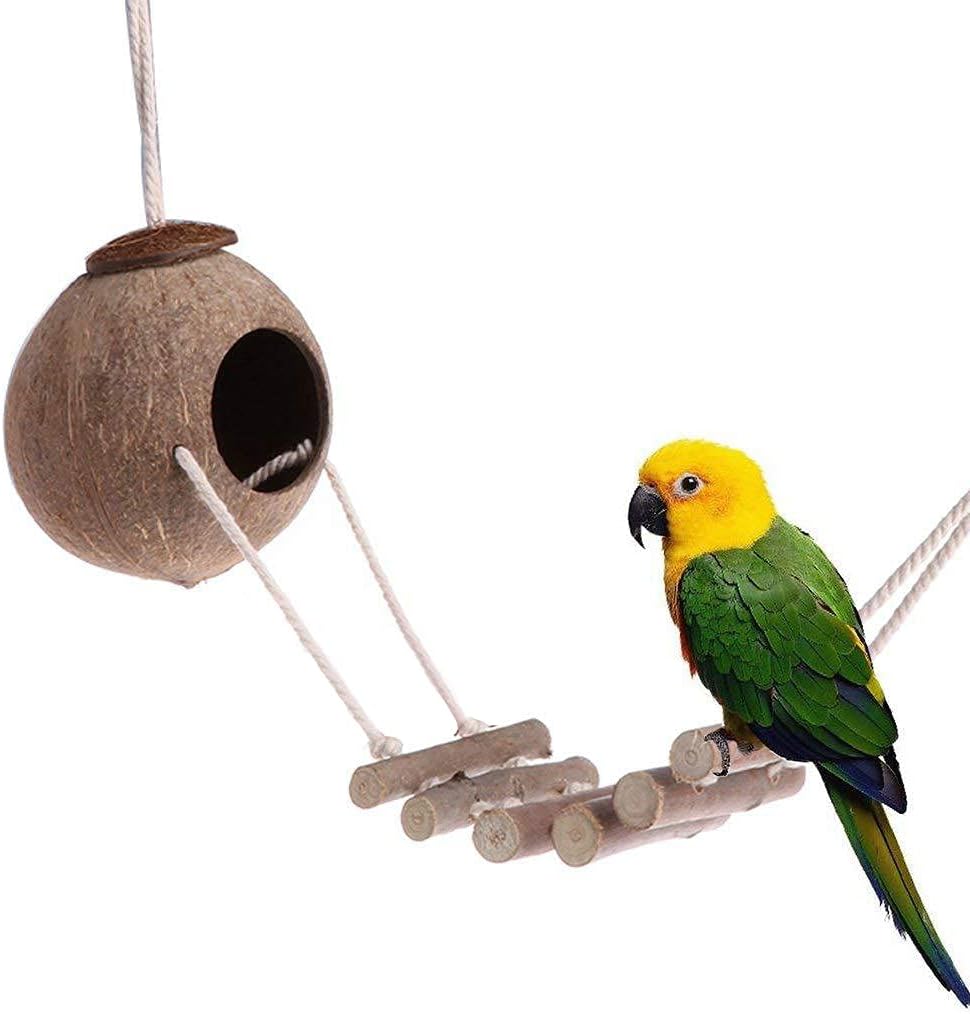 9-Piece Parrots Chewing Toy Set - Natural Wood & Rope Bungee Toys for Anchovies, Coconut Hideaway with Ladder, Bird Perch Stand, Cage Accessories for Parakeets, Cockatiel, Conure, Mynah, Macaw 9-Piece Parrots Chewing Toy Set - Natural Wood & Rope Bungee Toys for Anchovies, Coconut Hideaway with Ladder, Bird Perch Stand, Cage Accessories for Parakeets, Cockatiel, Conure, Mynah, Macaw